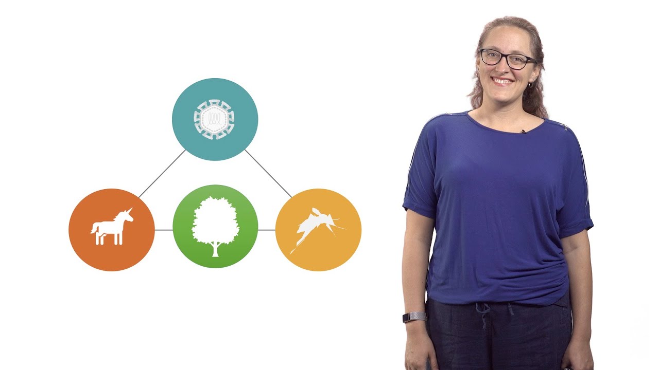 Rebecca Christofferson (LSU) 1: Mosquito-Borne Arboviruses