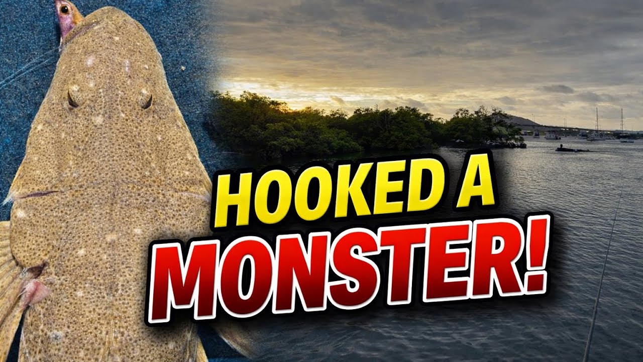 HOOKED A MONSTER... Port Stephens Flathead Fishing