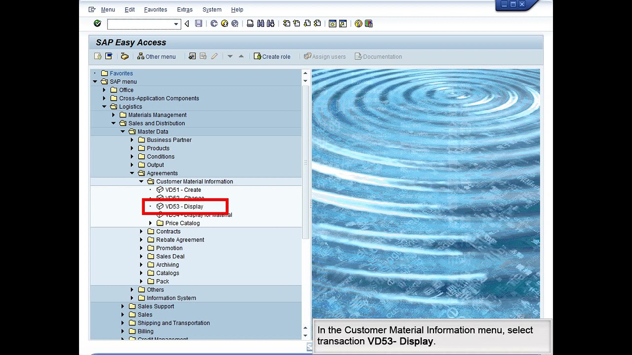 SAP MM-Customer Material Info Record