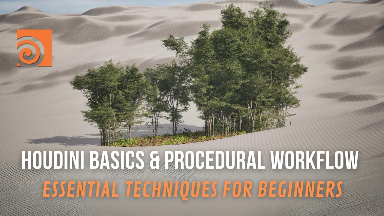 Houdini Basics & Procedural Workflows: Essential Techniques for Beginners 