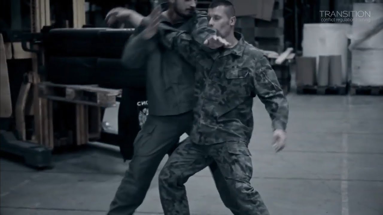 Systema principles: usage of levers