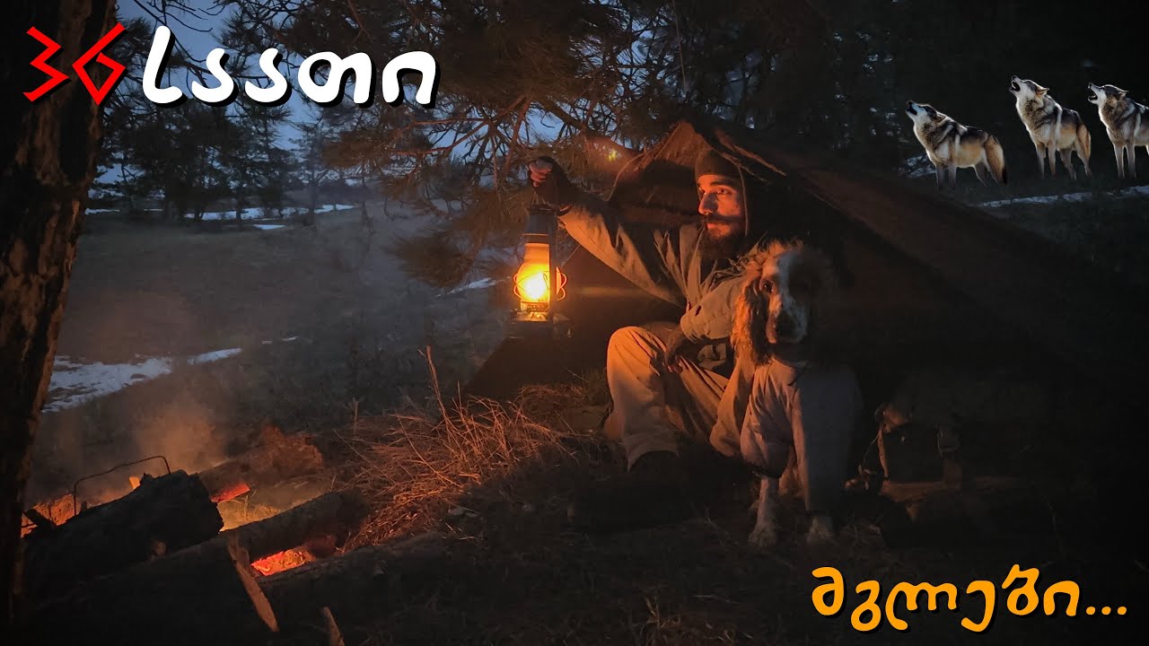 36 საათი მარტო მგლებით სავსე ტყეში !