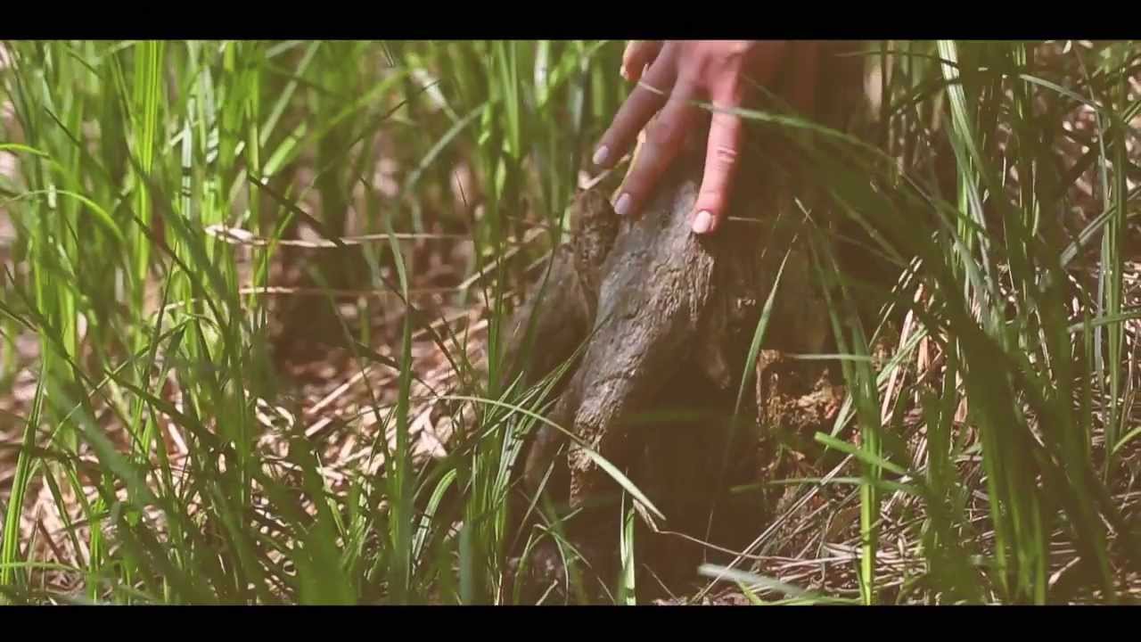 PIDGYN - DON'T SAVE IT FOR LATER - Official Video