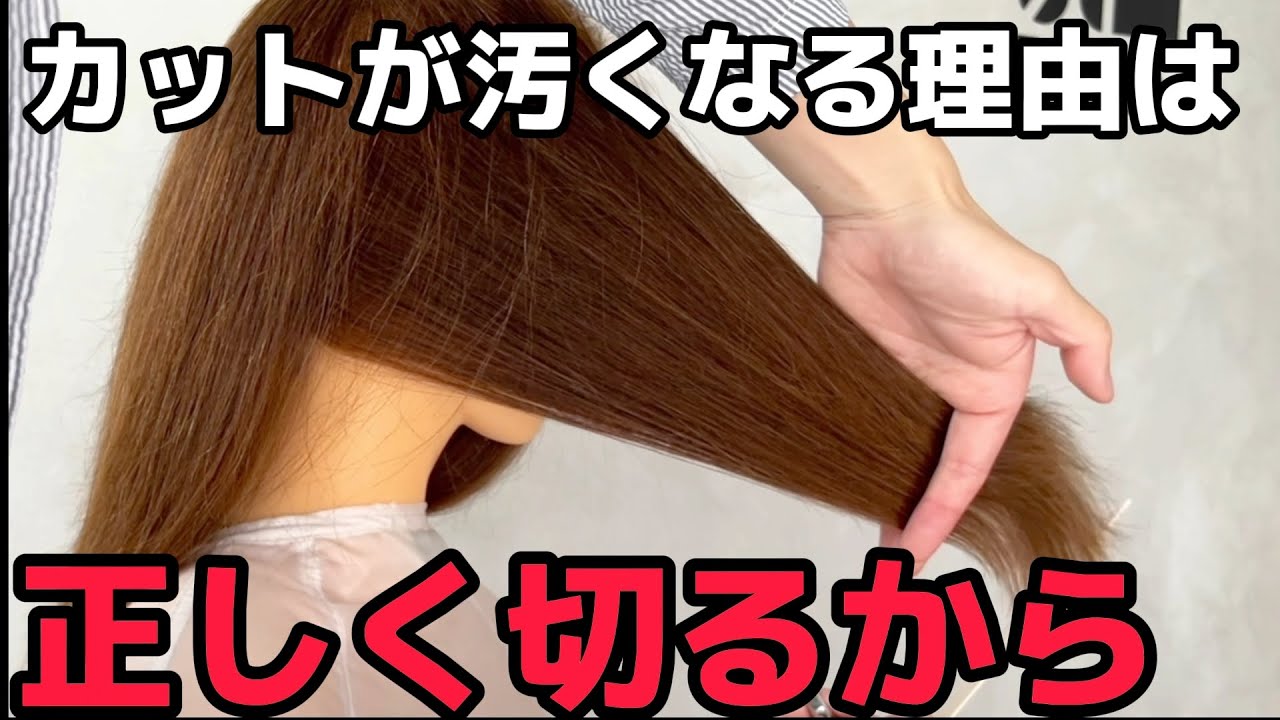 [サイドレイヤー] この動画1本だけで全てわかる🦀