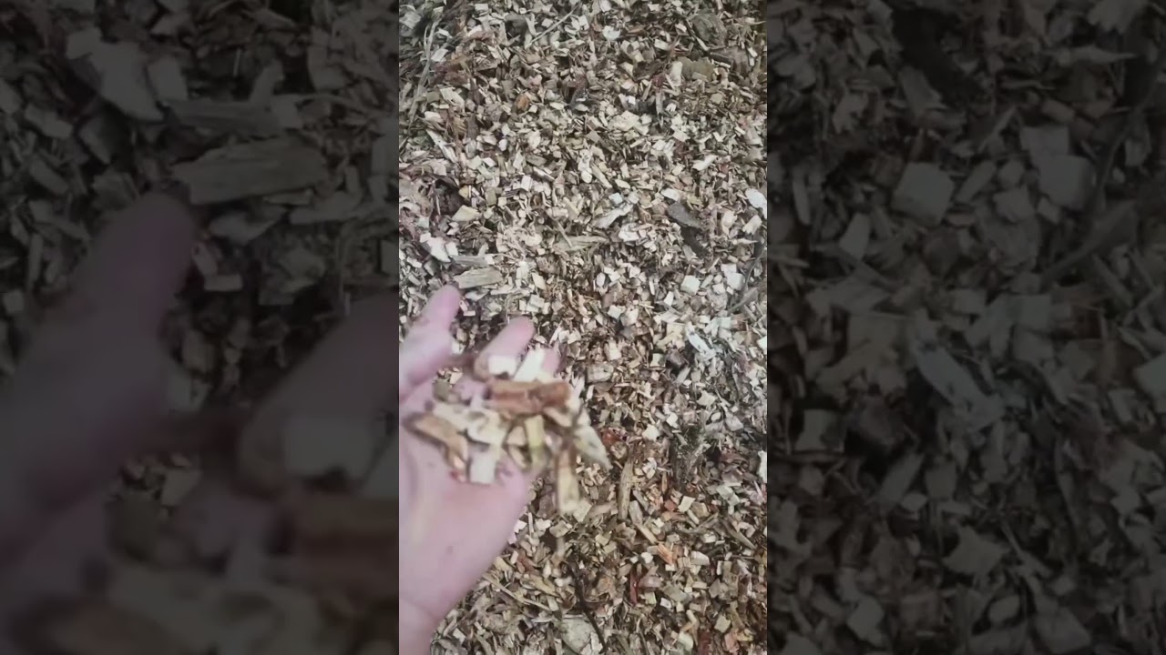 Urgent to make this wood chips into pellets with biomass wood pellet machine