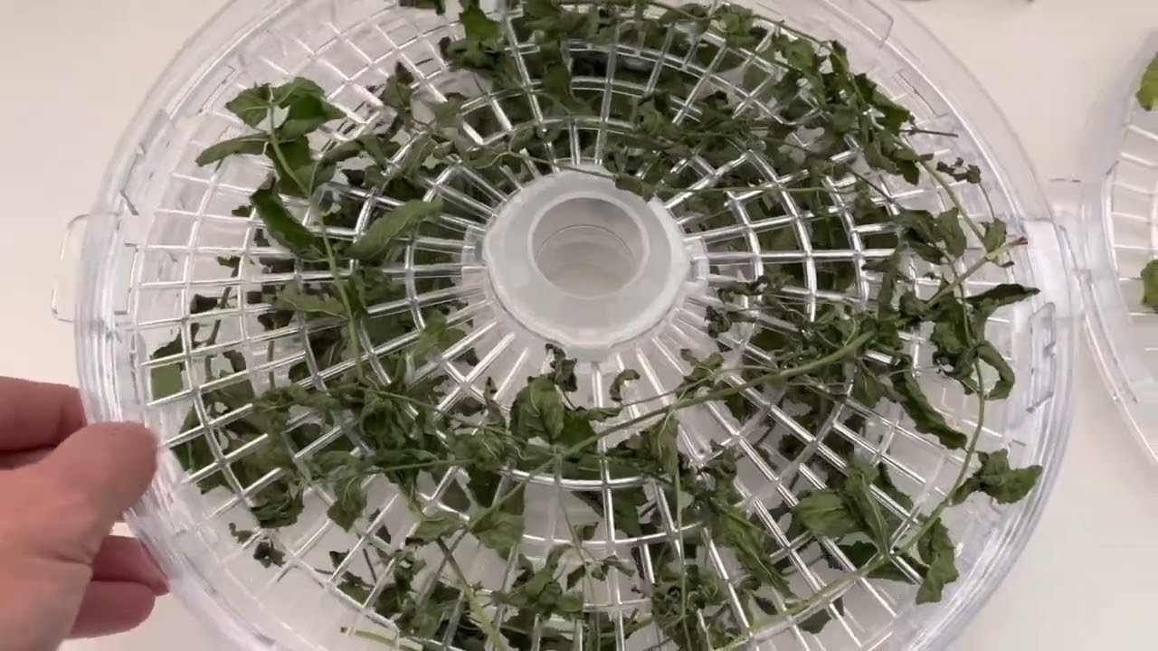 Fűszerek szárítása aszalógéppel