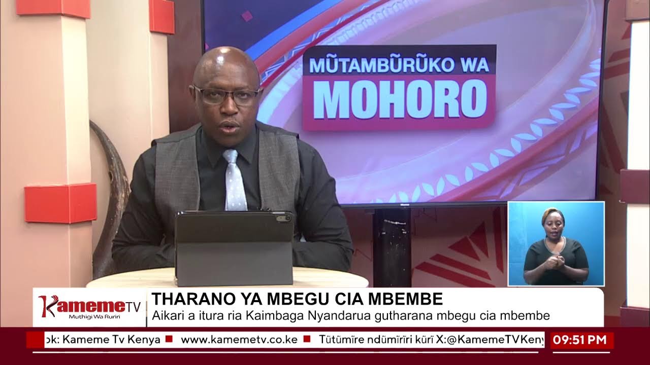 #MutamburukoWaMohoro