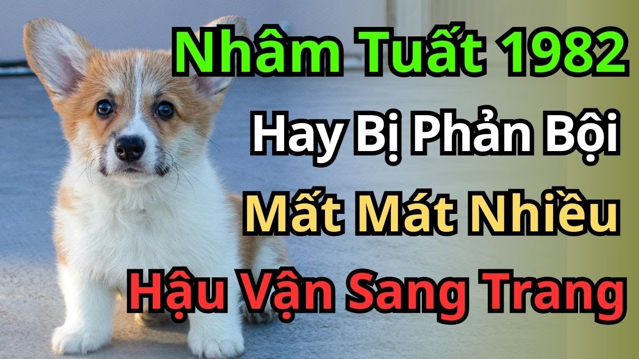 Vận Mệnh Nhâm Tuất 1982: Nén Đau Thương Hóa Sức Mạnh – Trời Sắp Bù Đắp Gấp Nghìn Lần