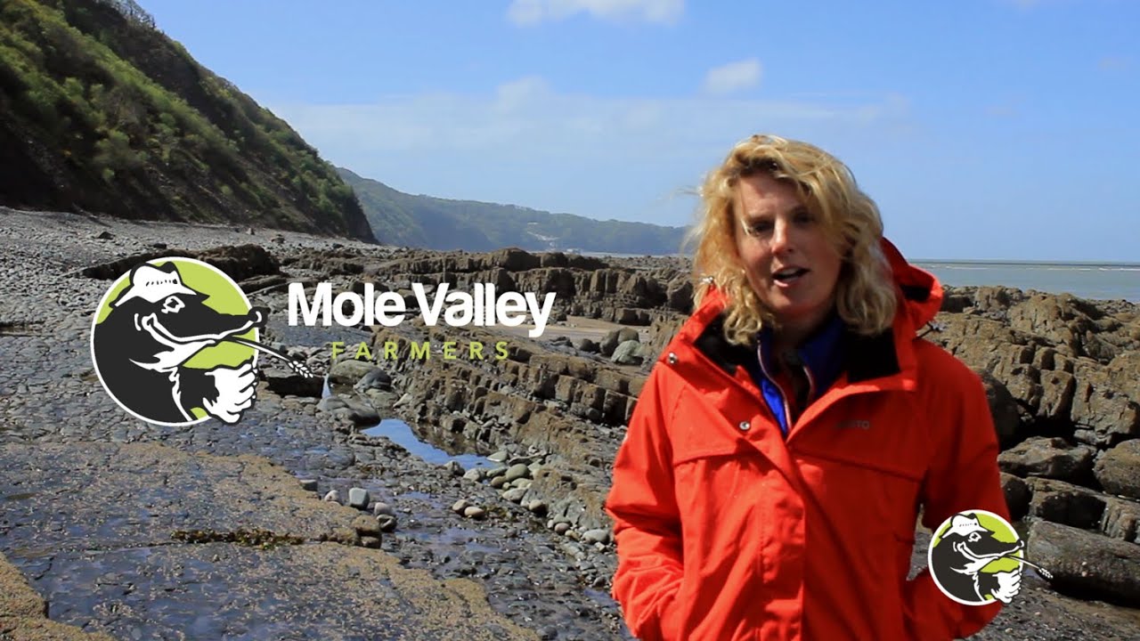 The Island Project - Emma Massingale | Mole Valley Farmers