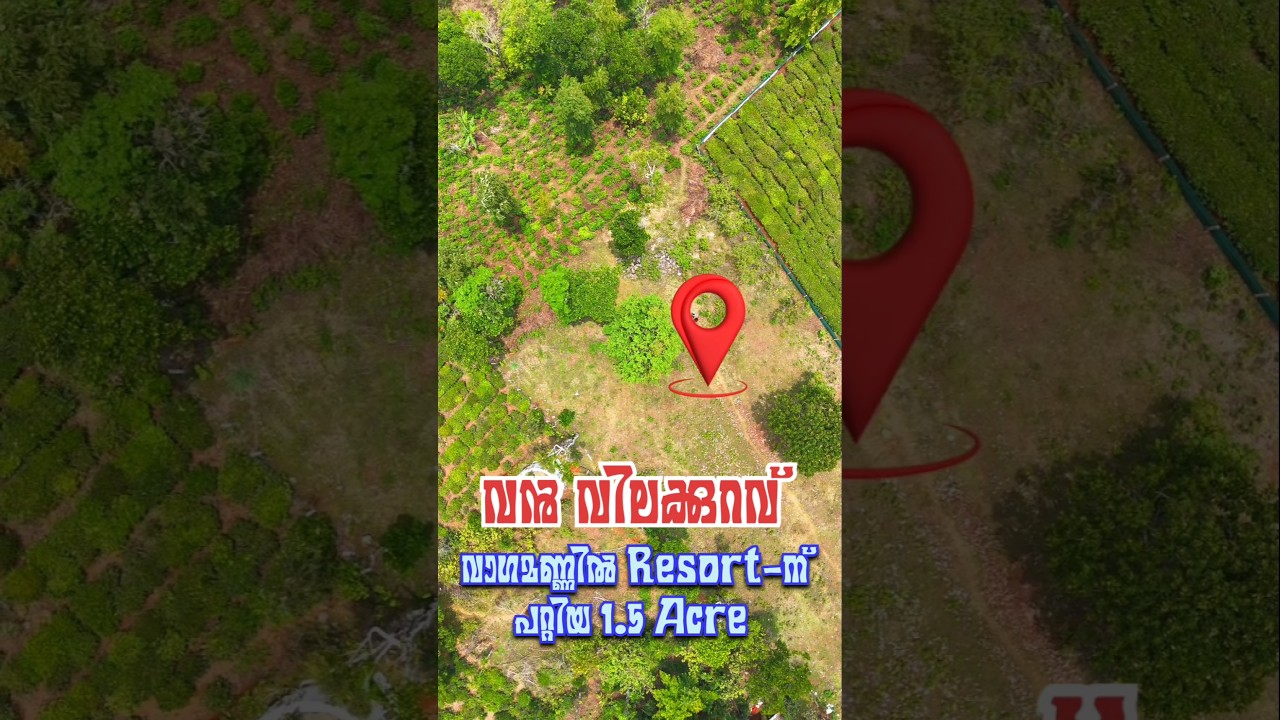 1.5 Acre Land for Sale @ Vagamon suitable for Resort #vagamon #resort #idukki #munnar #vagamonhills