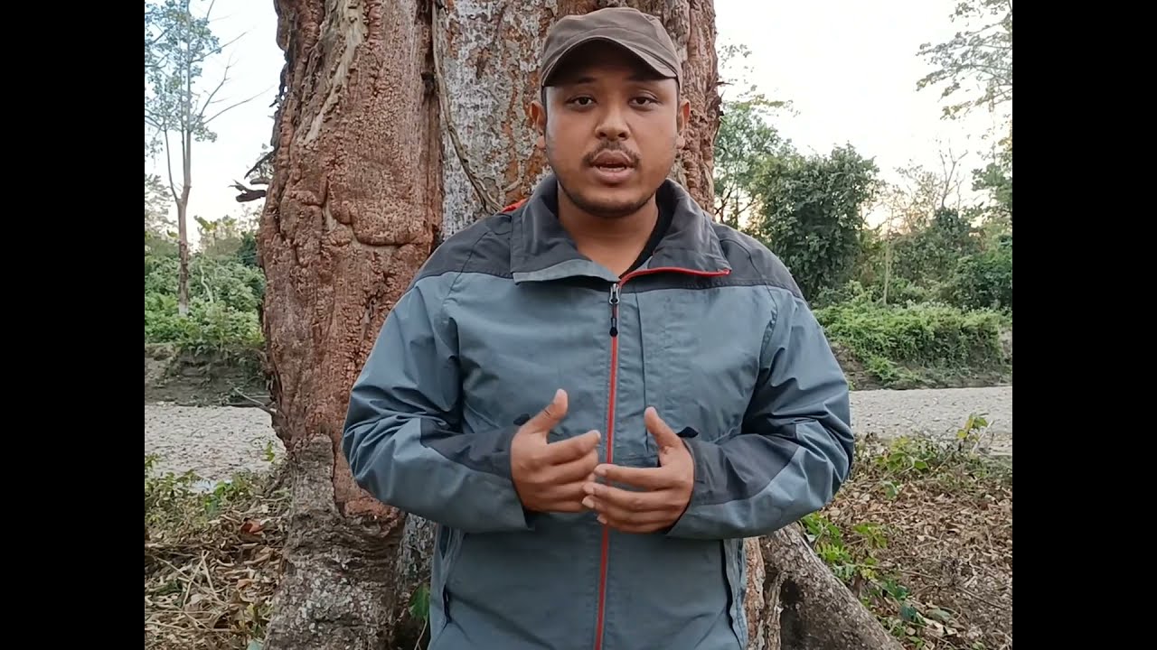 How to Choose Optional Subjects for APSC Forest Ranger Examination (Assam Forest Service)