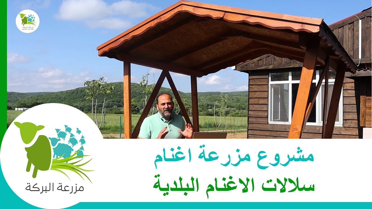 سلالات الاغنام البلدية