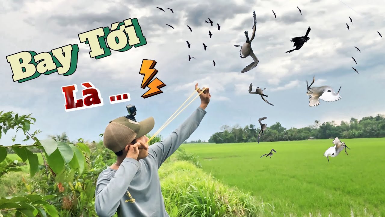 Cầm Ná 1 Mình Cân Luôn Bầy Hàng Khủng Bay , Rớt Như Sung Rụng || Tiến Đạt SlingShot