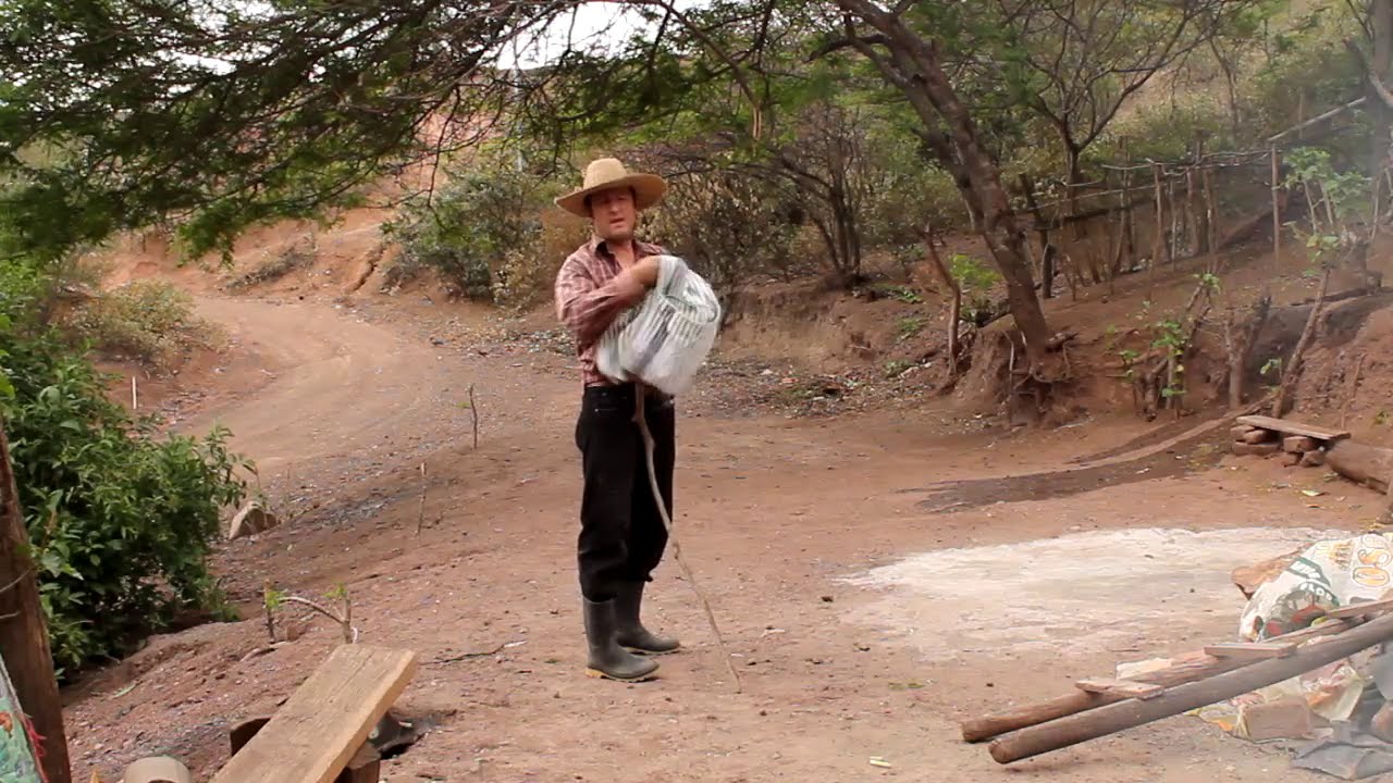 CUANDO MI COSINA DE LEÑA TRUENA  SEGURITO ME LLEGA VISITA