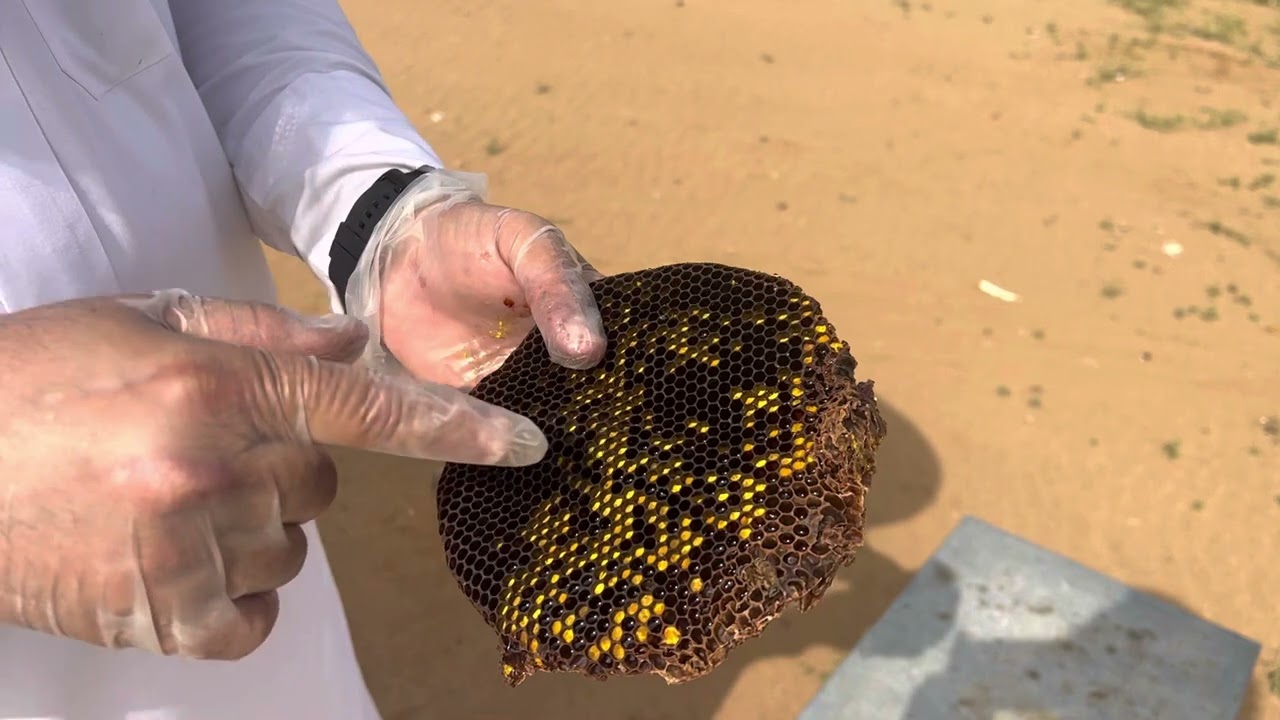 ( الجزء الرابع ) التحويل من الخلية التقليدية للحديثة