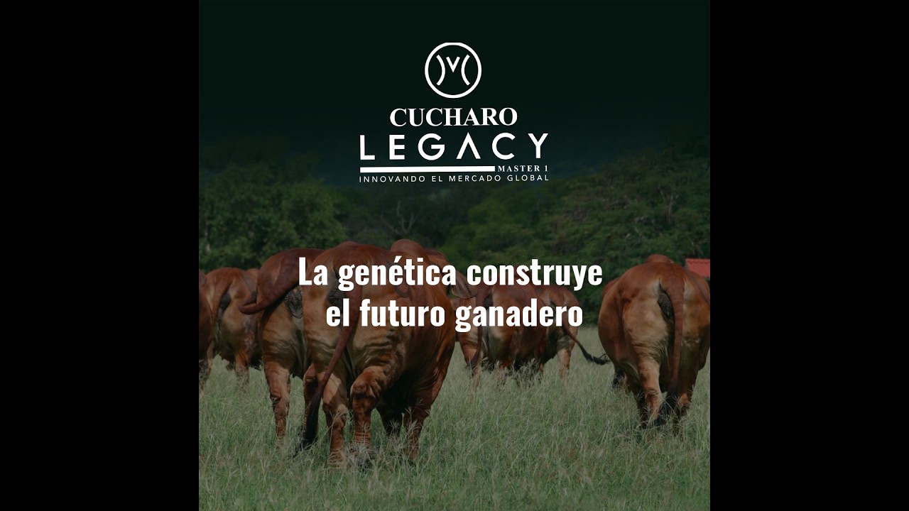 EL CUCHARO LEGACY 13 DE MARZO 2026