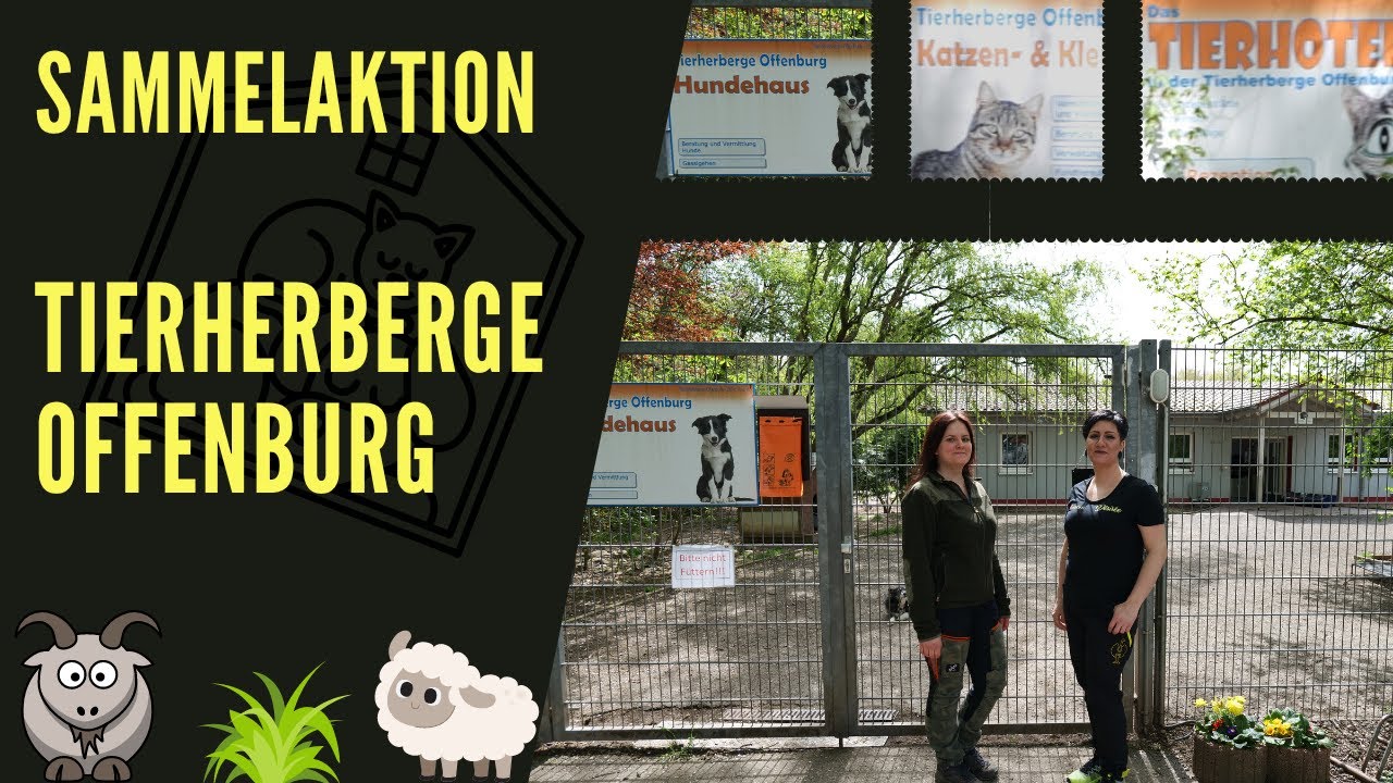 Sammelaktion Tierherberge Offenburg