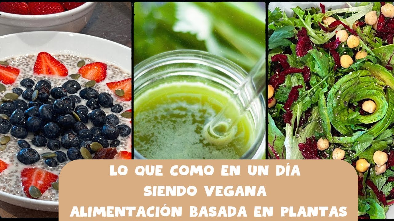 Lo que como en un día siendo vegana con alimentación 100% Basada en Plantas