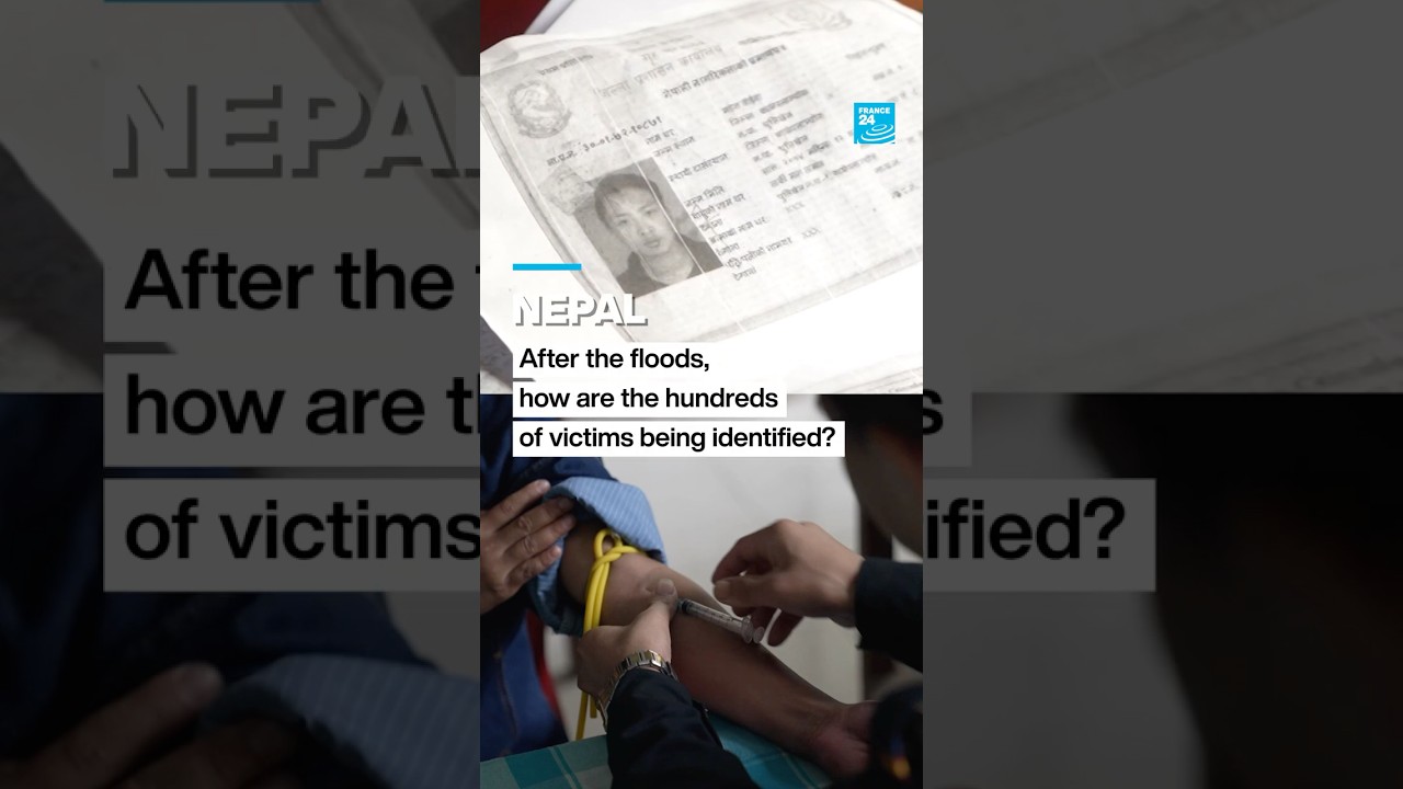 Nepal: How are the hundreds of victims from the floods being identified? &bull; FRANCE 24 English