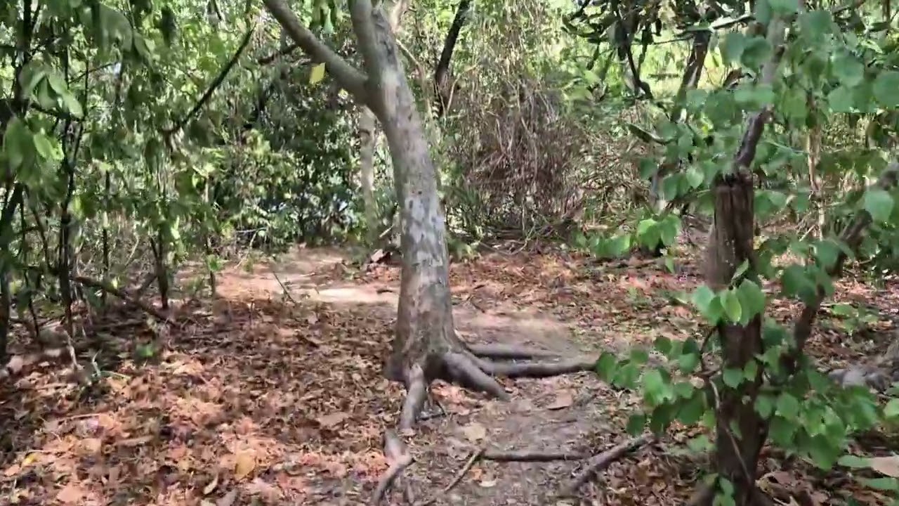 Вся правда об острове Ко Кхам (Koh Kham).