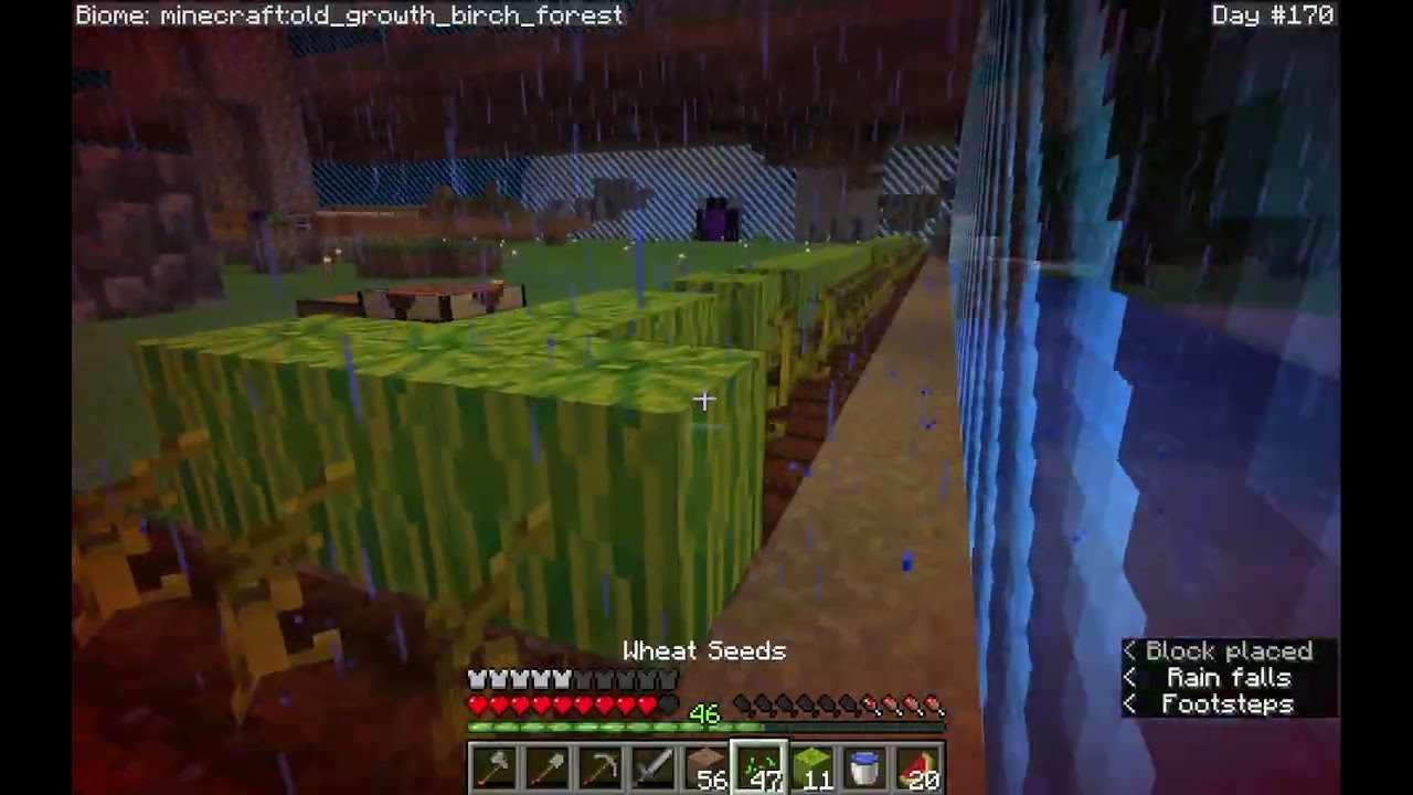 Chill Minecraft Gameplay 40