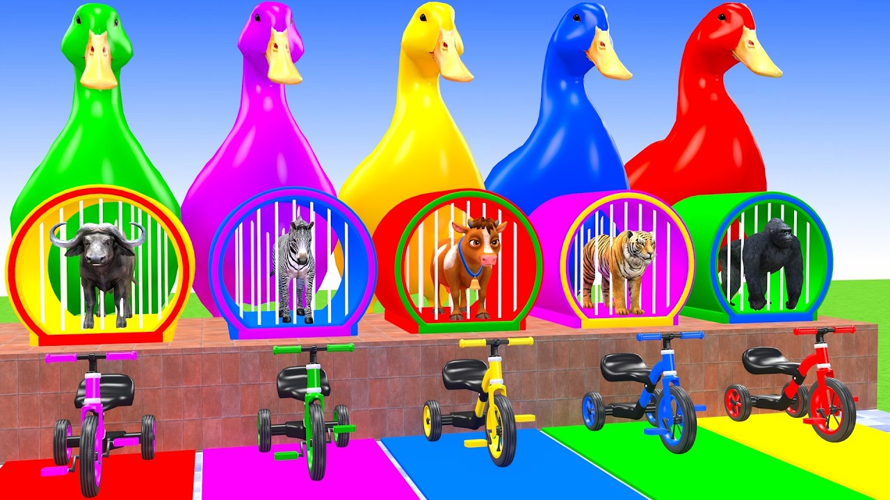 Long Slide Game With Buffalo Zebra Cow Gorilla Tiger Hippopotamus  3d Animal Game Funny 3d Animals