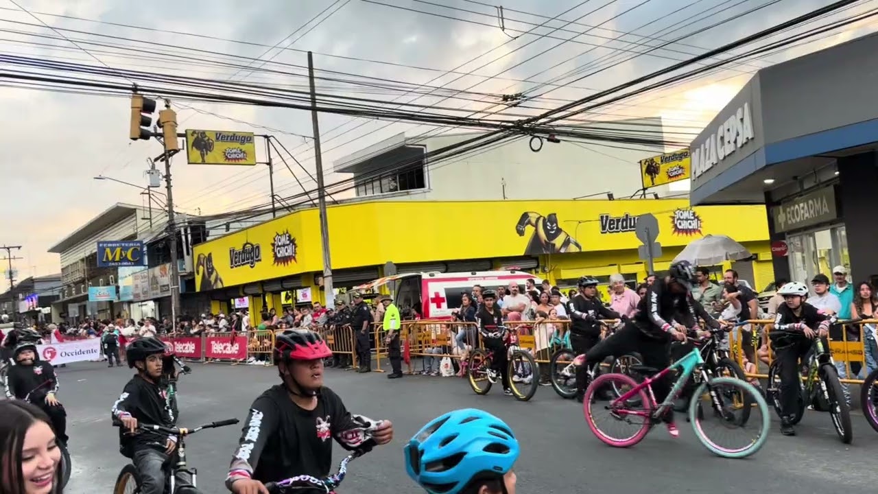 Carnival Palmares 2026