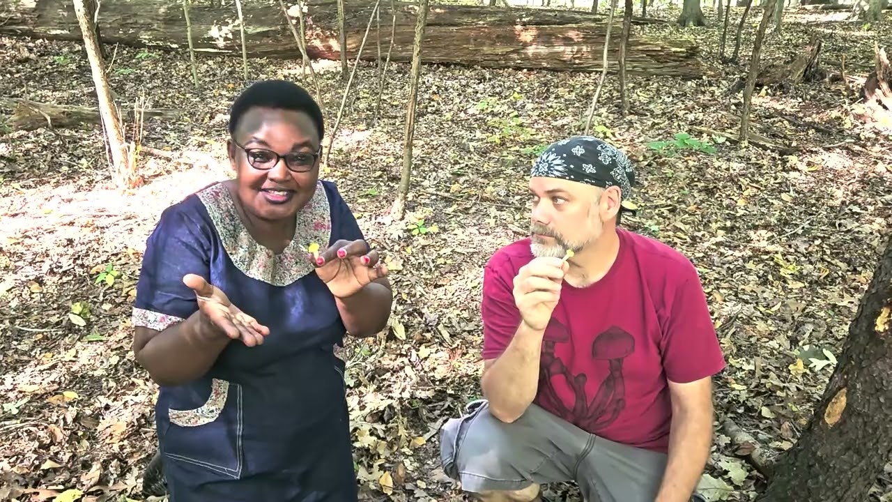 Mushroom Hunting with Josephine Nakakande of EcoAgric Uganda