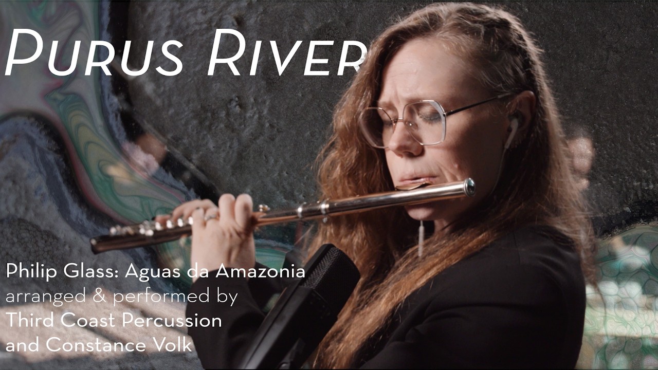 Purus River from 