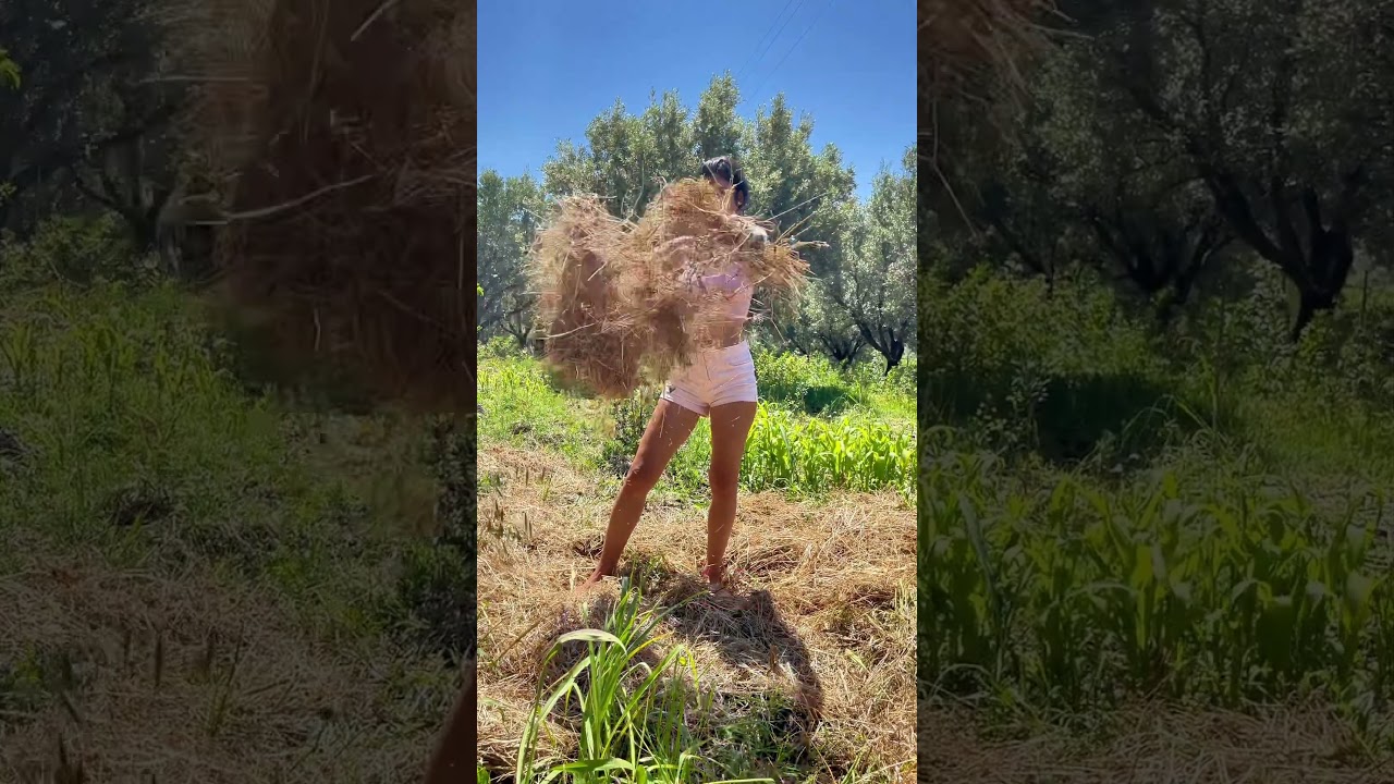 Pacciamiamo l'orto con 3 tonnellate di fieno🌾 #agricoltura #orto #natura #naturale #campagna #fieno