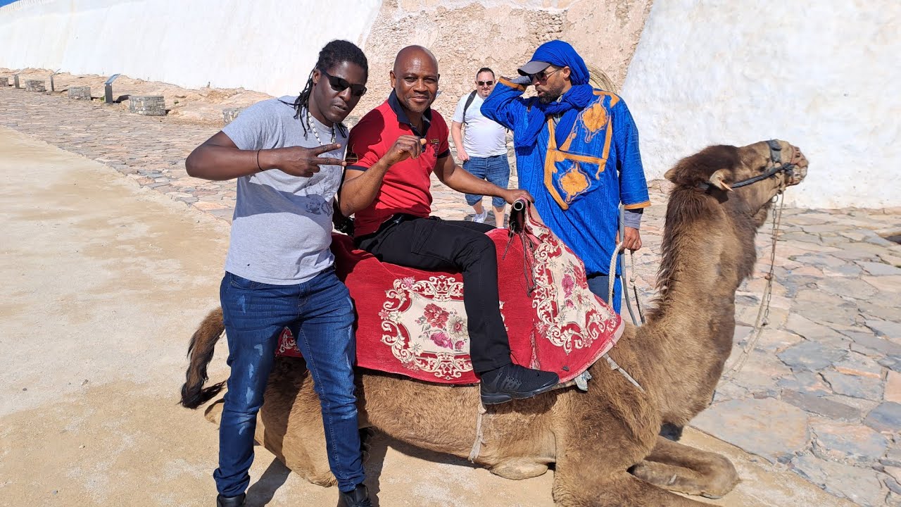 Agadir 🇲🇦 MOROCCO Day 1 (pt.1): #breakfast, #Agadir #citytour, Mountain top #camelride & #arganoil