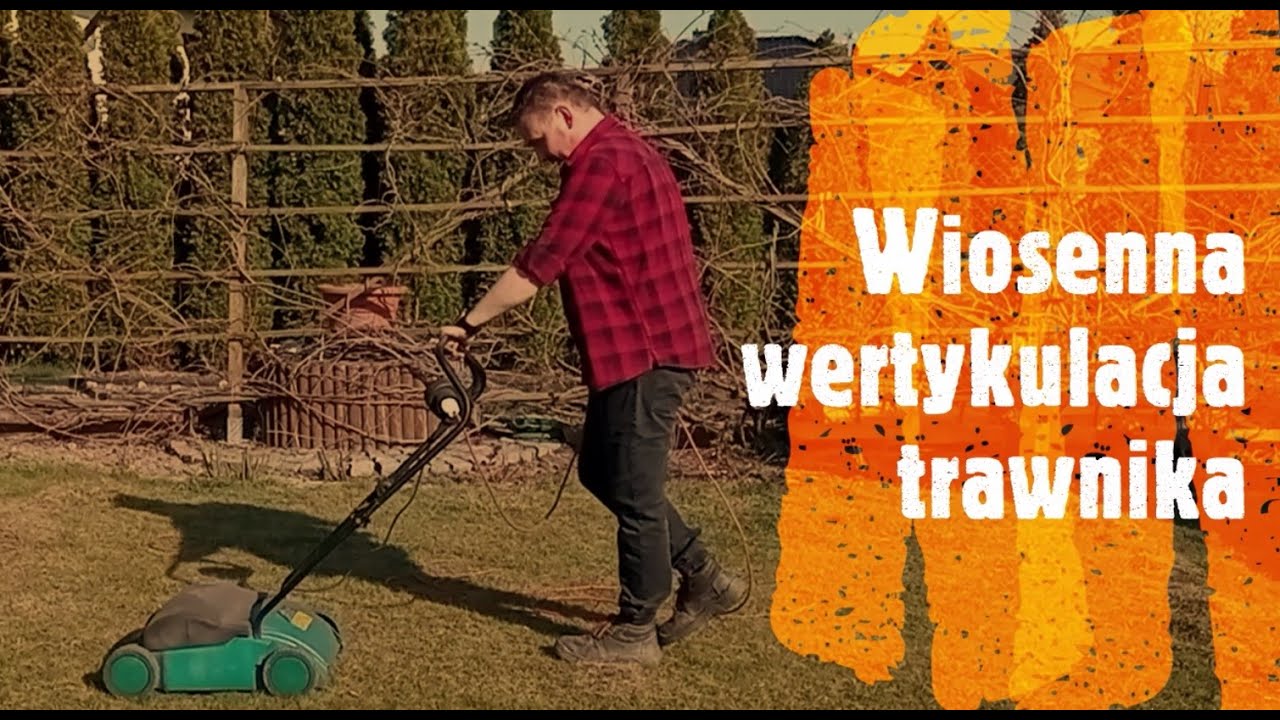 Wertykulacja trawnika