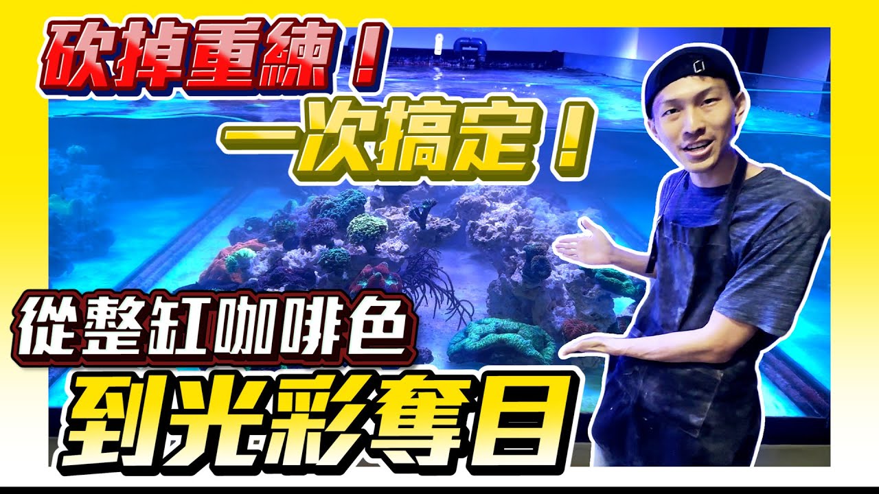 【藍箱水族】超級大改造！魚缸重建過程大分享！七呎珊瑚淺缸！來去魚友家系列～