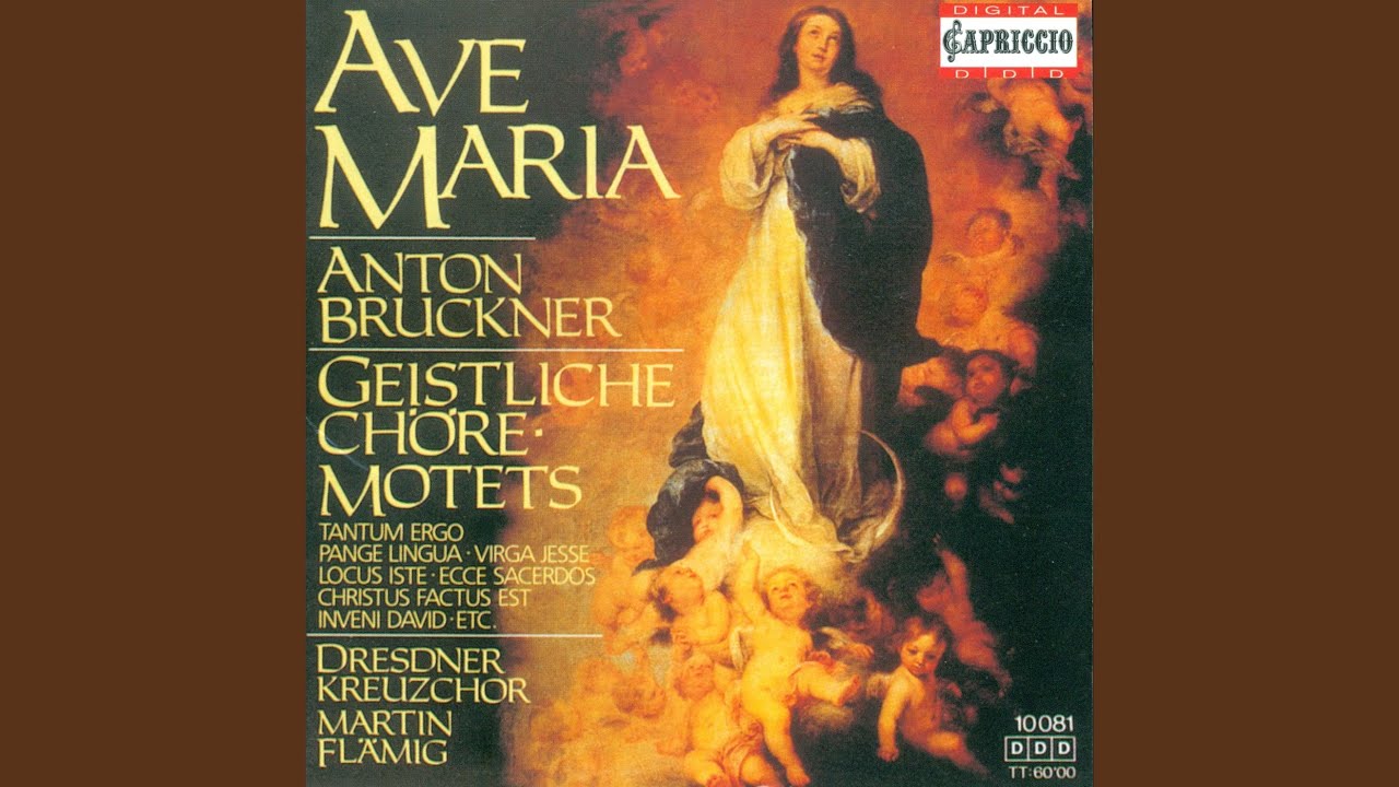 Ave Maria, WAB 5