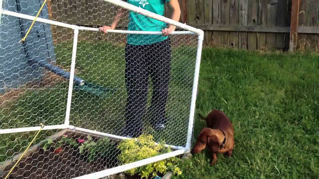 Garden Fence