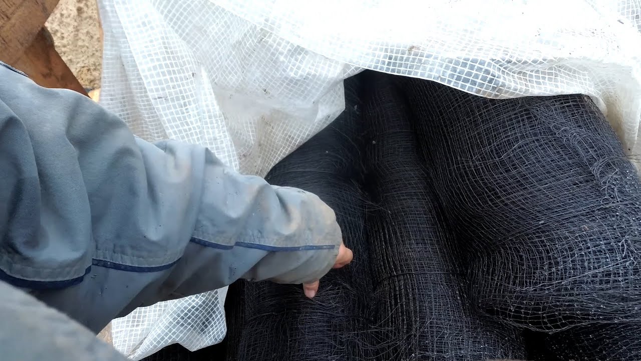 какая  нужна  сетка  для  скульптур  из  арт  бетона, оформление  забора  и цветника на  даче.