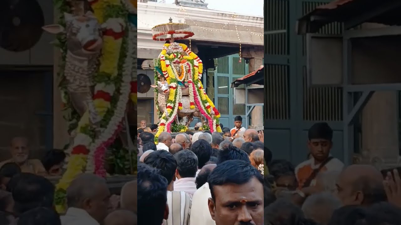 Kapaleeshwarar temple-Pradhosham-Mylapore,chennai