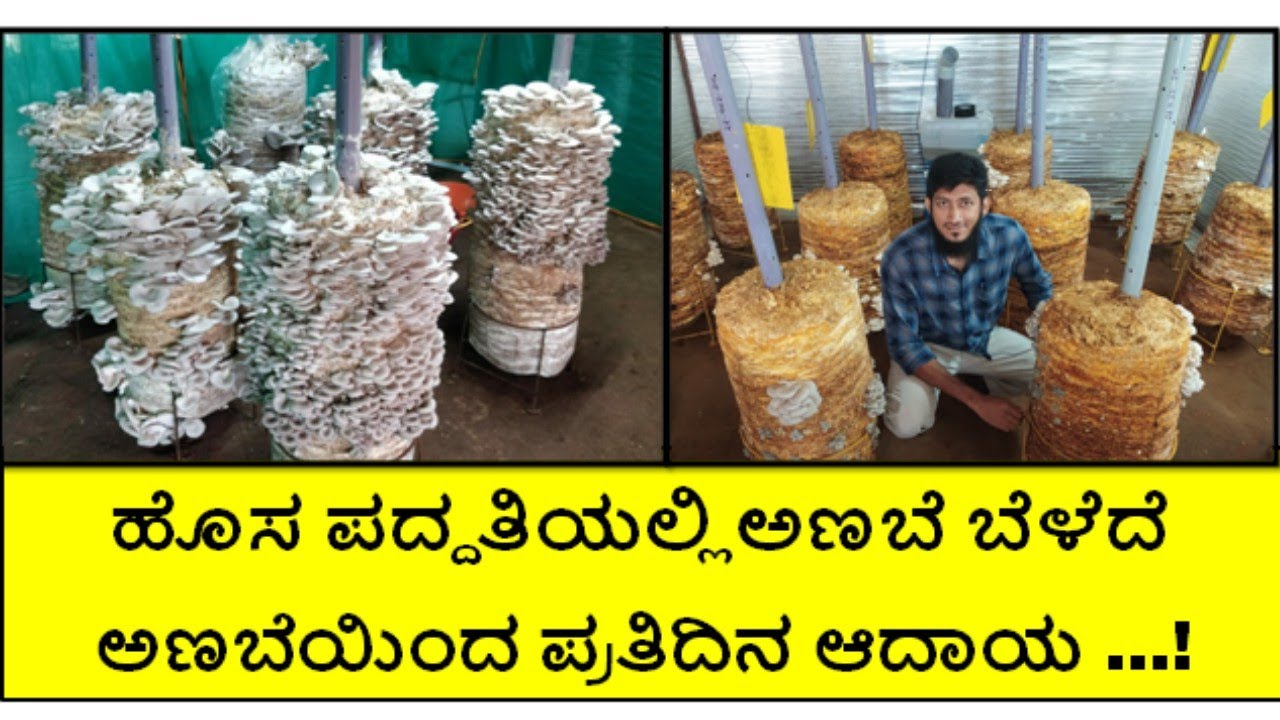 ಹೊಸ ಪದ್ದತಿಯಲ್ಲಿ ಅಣಬೆ ಬೆಳೆದು ಯಶಸ್ವಿಯಾದೆ 