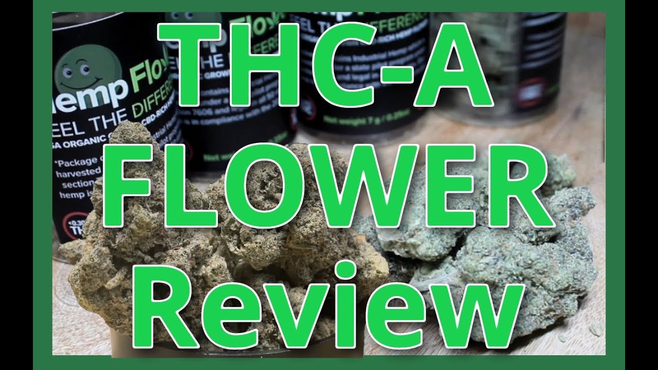 THCA Flower vs THCA-Diamond Infused CBD Pre Rolls Product Review