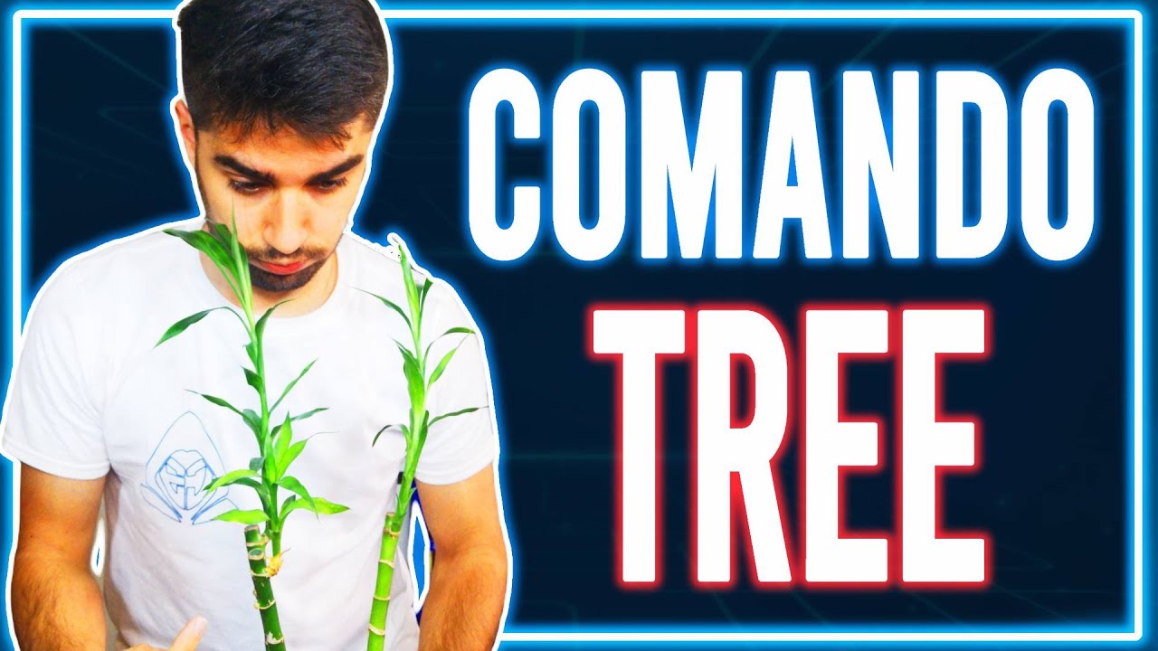 Cómo Crear un ÁRBOL y Estructura de Directorios en LINUX - Comando TREE 🌳