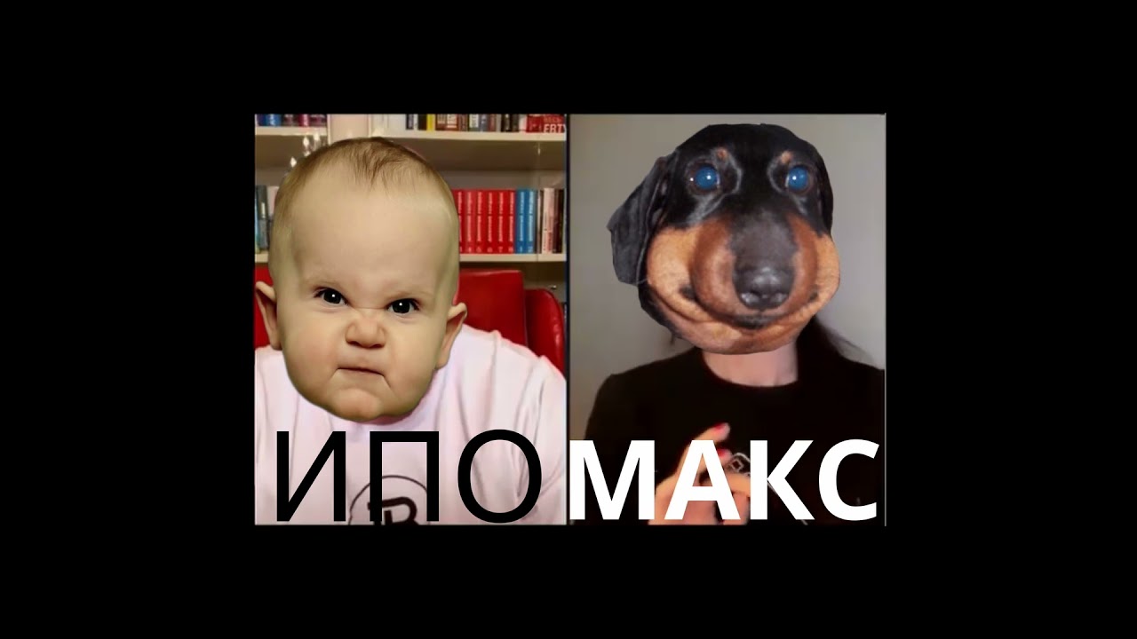 Ипочка и Давгоносик