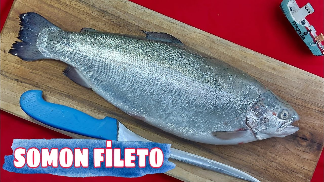 SOMON NASIL TEMİZLENİR 🐟  YIKANIR? BALIK FİLETO NASIL ÇIKARILIR? How to clean Salmon? Fish Cleaning