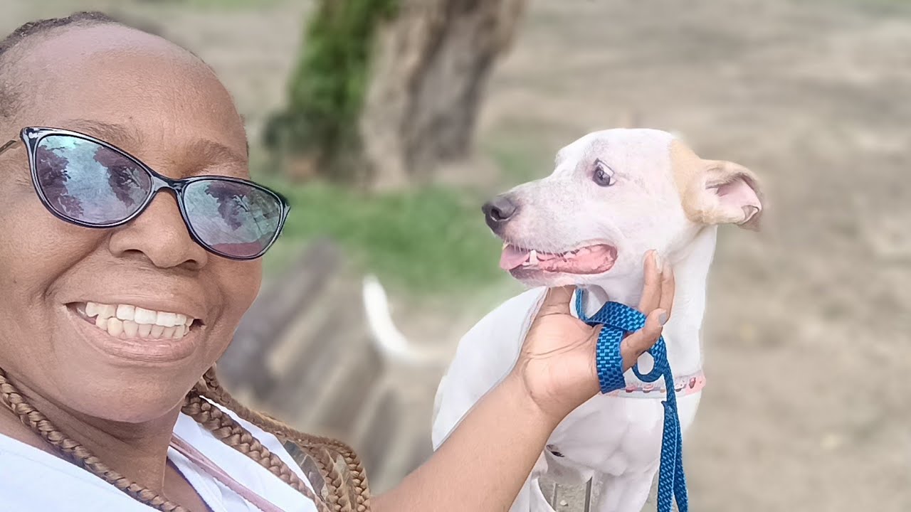 O Kiko no park , continuação 