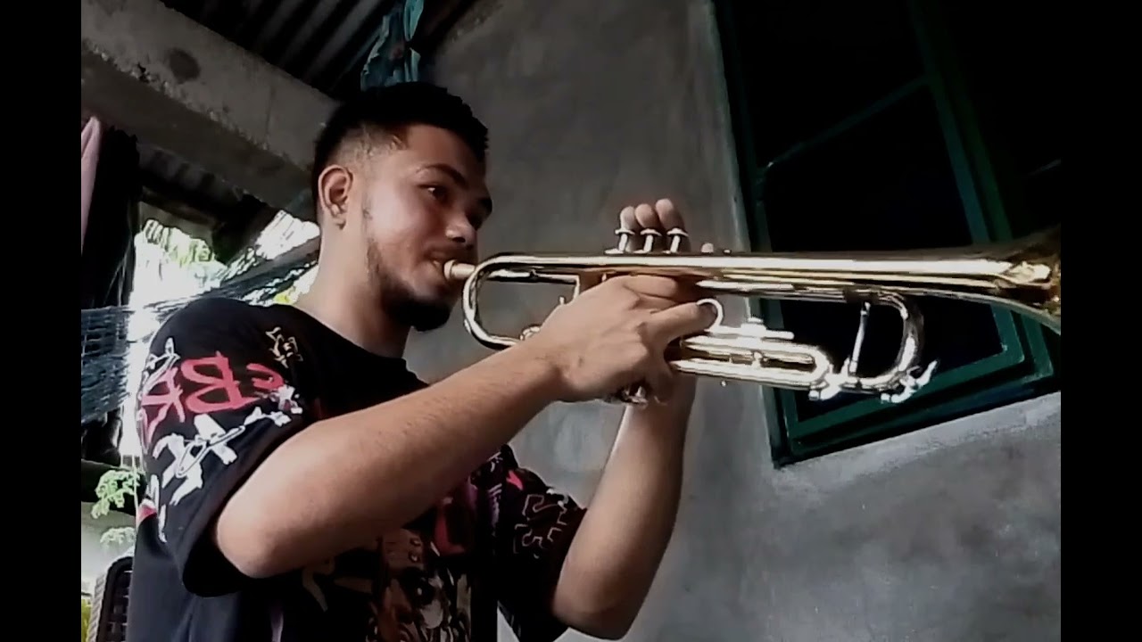 The Power Of Love - Celine Dion (Trumpet) Cover 🎺
