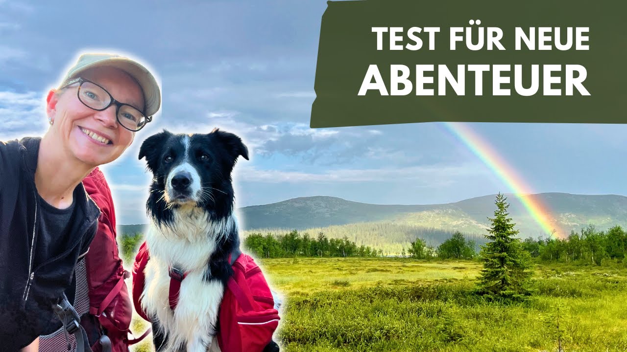 🇸🇪 Schwüle Hitze, Mücken und Gewitter: 3 Tage Wandern mit Hund in Schwedisch Lappland