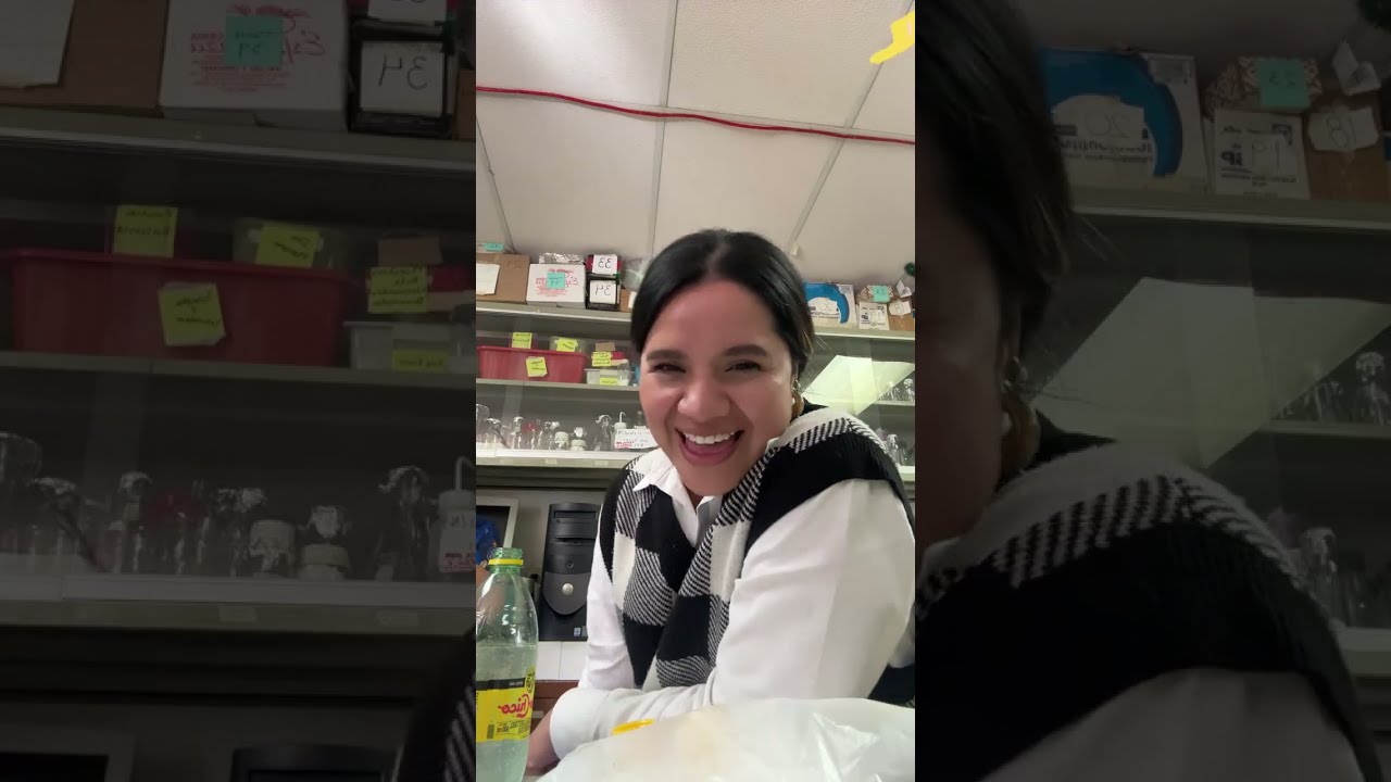Comimos morisqueta 
