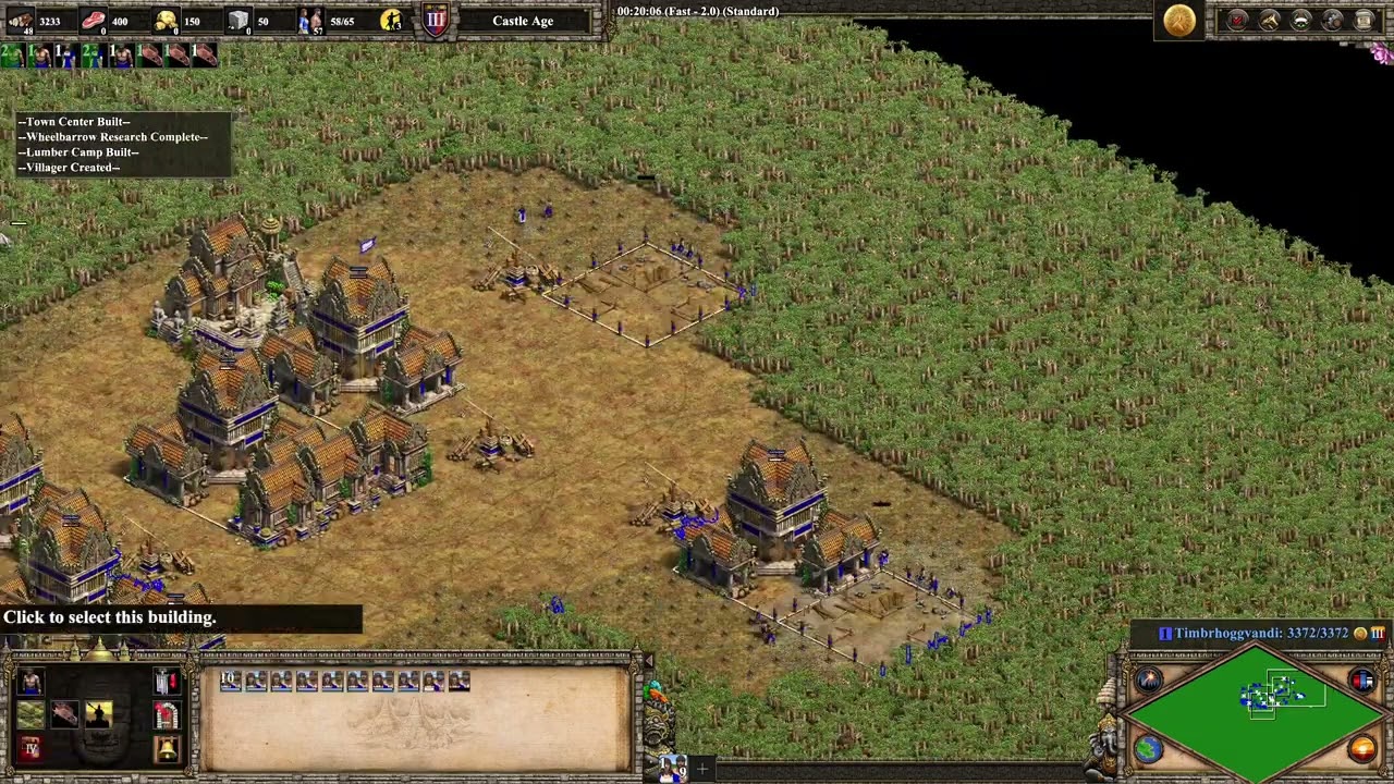 AoE2 Forest Nothing 256x Tech Speedrun WR - 33:27 IGT