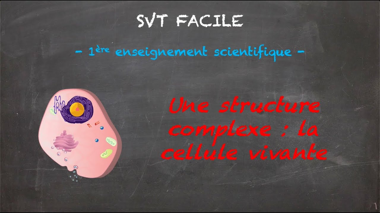 SVT FACILE - 1ère ens. sci. - Une structure complexe : la cellule vivante