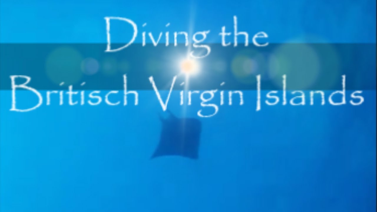 Britisch Virgin Islands Diving