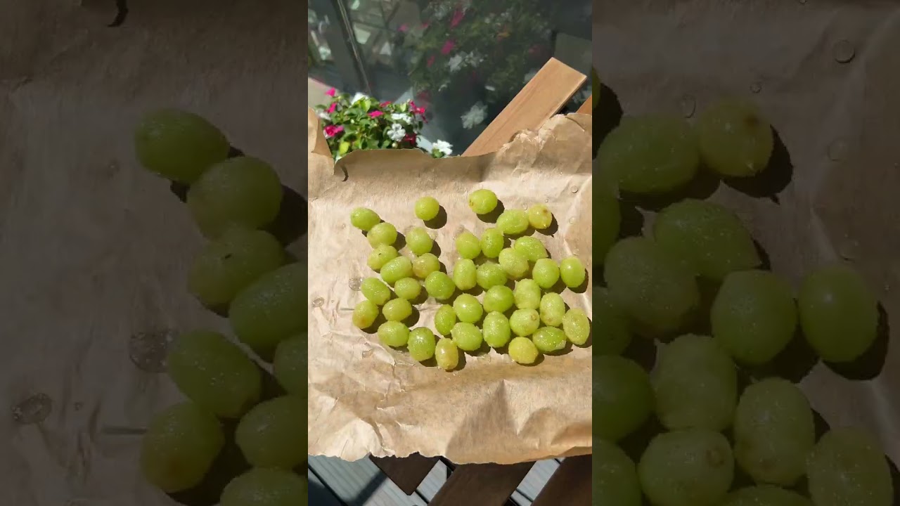 How to make the viral sweet and sour frozen grapes 🍇❄️✨